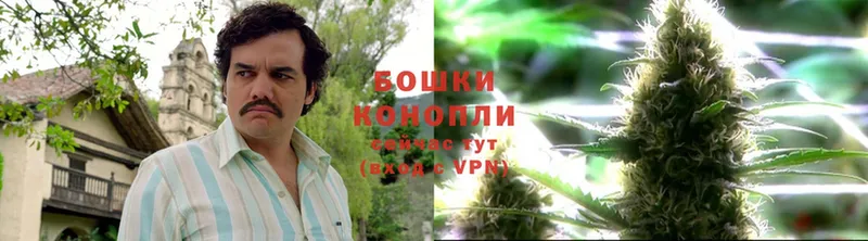 Бошки Шишки Bruce Banner  Владикавказ 